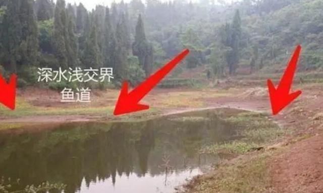 入冬后,大板鲫就难钓?那是你不晓得这3个“藏鱼”之地,莫泄密