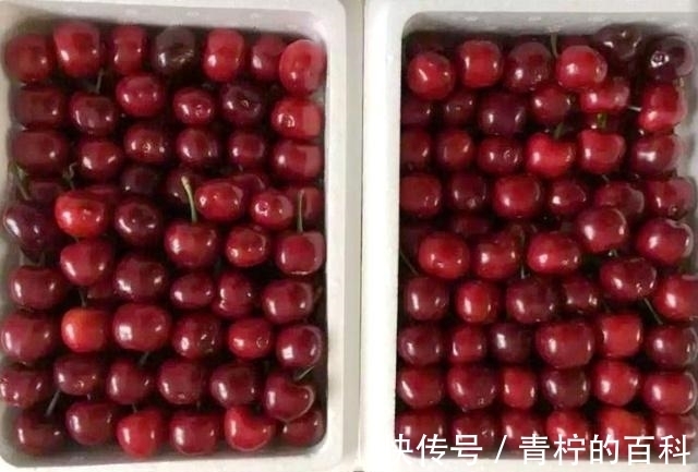 感觉|有个“强迫症”男友是什么感觉?草莓去籽太弱,石榴你吃得下吗?