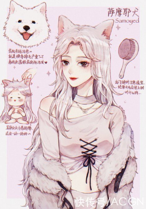 拟人|狗狗化身动漫美少女，萨摩变成白毛御姐，短腿柯基好俏皮