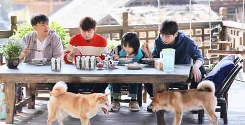 向往的生活|网友吐槽《向往的生活》越来越看不下去了，理由好扎心