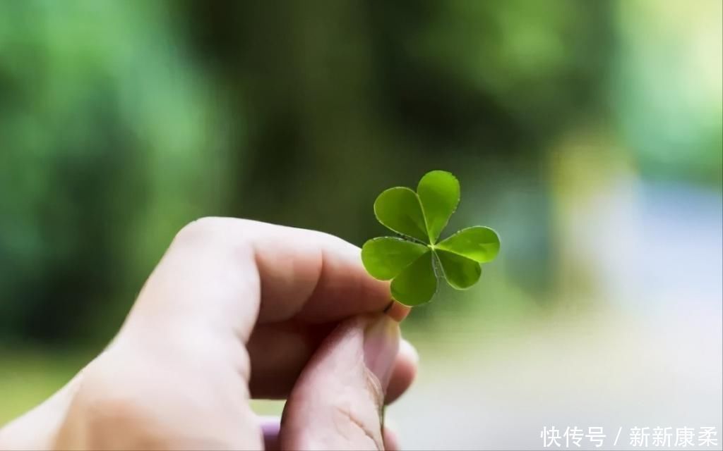 何裕民|腫瘤專家：不要害了親人，很多人根本就不該得癌