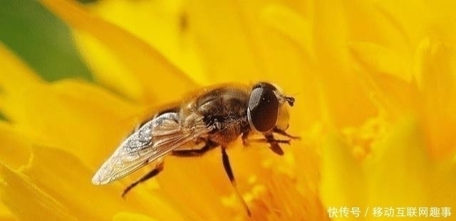 罗隐|史上最烂俗的一首诗,比打油诗还通俗易懂,却写出最雅的千古名句