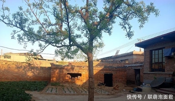 俗语:“男人五大三粗”,分别指的是啥?女人不妨了解一下