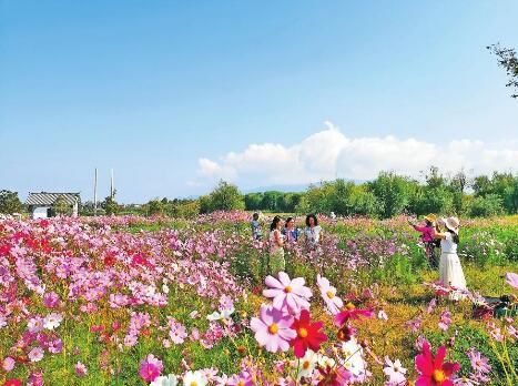 文旅|假日文旅活动精彩纷呈