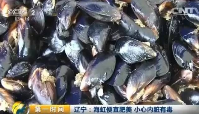 河北1市緊急提醒：這種常見海鮮近期勿食！此前已致多人中毒…