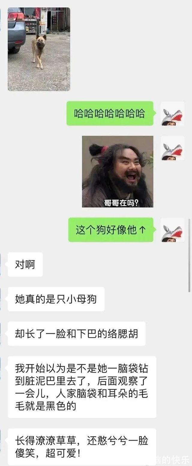 |搞笑图集:一个宿舍42个学生,网友:养猪都不敢这么养啊
