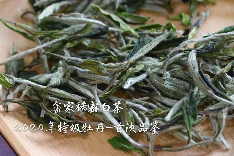 浑身|白茶浑身是“宝”，难怪越来越多的茶友开始喝白茶！