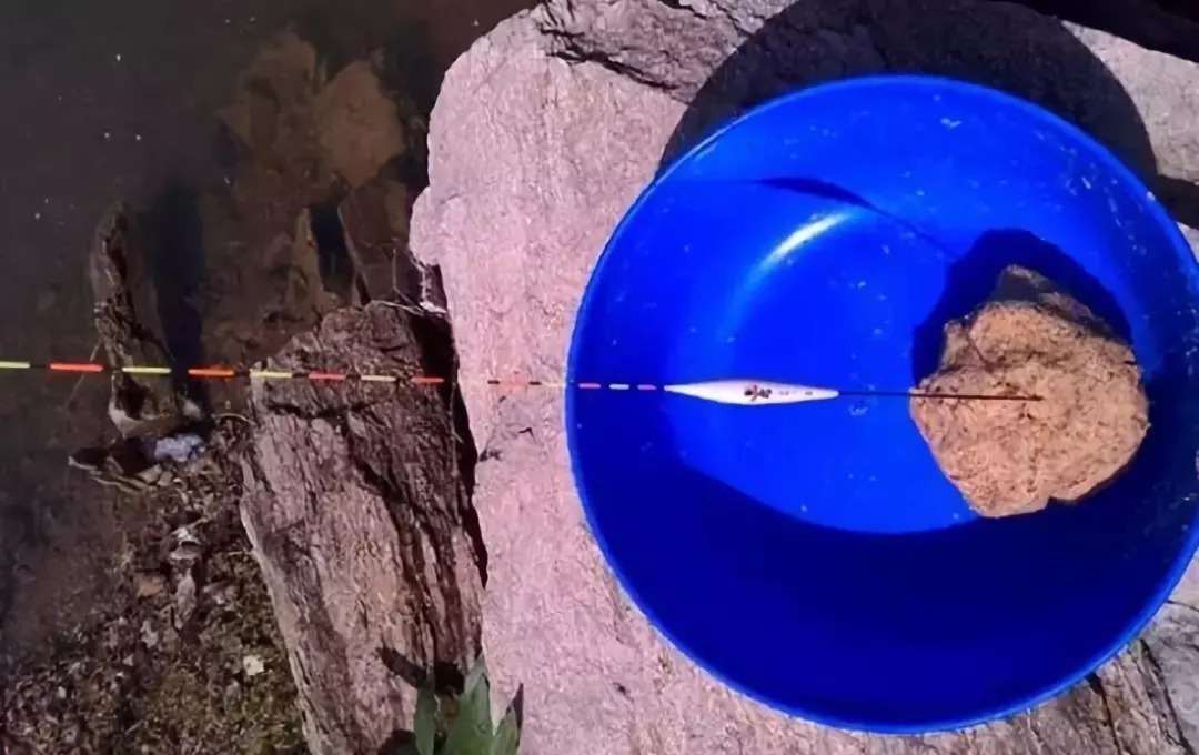 蓝鲫加点这个,鲫鱼鲤鱼连杆不断,一下午钓几十斤!