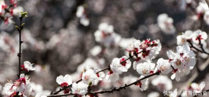 文人|刘禹锡被贬外遭到排挤,还搬了好几次家,于是写下一篇很狂的文章