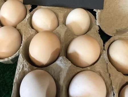 健身者|健身久了,锻炼目标不同,吃蛋白粉与不吃蛋白粉,差距有多大