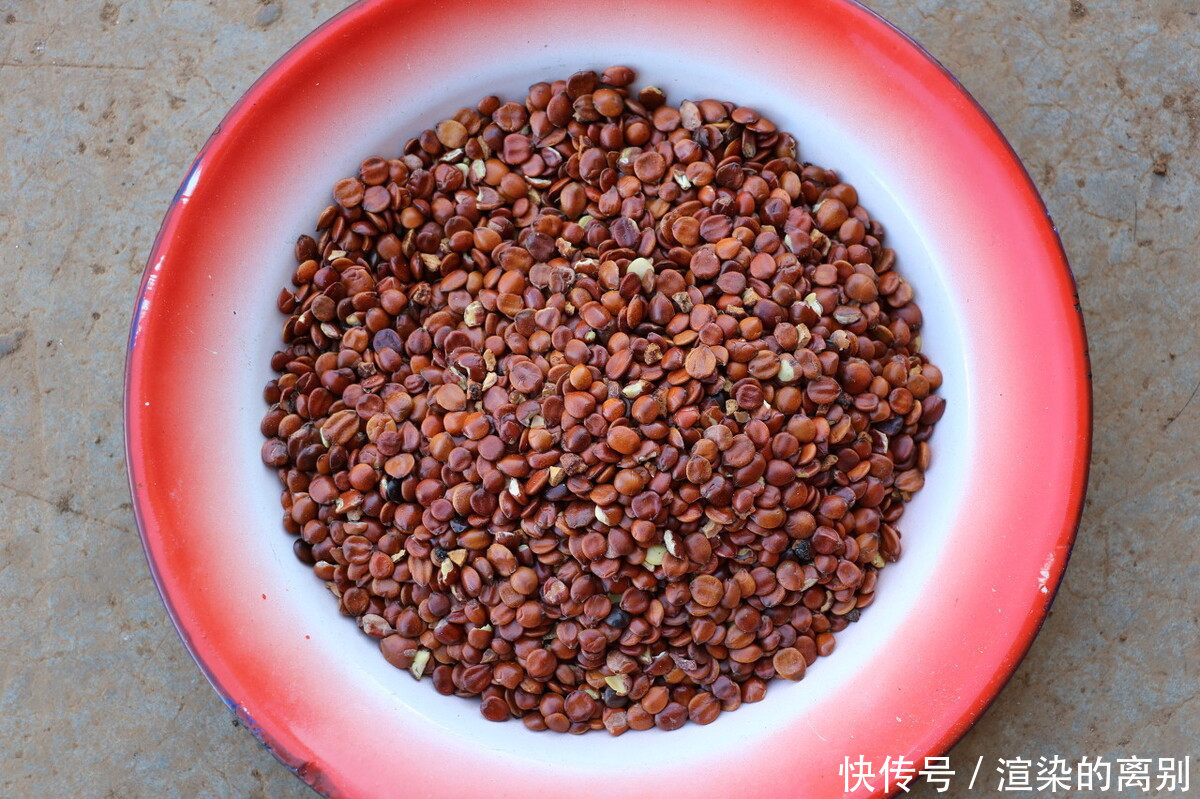 食物|睡眠医学委员会指出3种食物能够提高睡眠质量,坚持吃不失眠