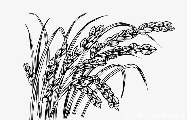 周家|鬼谷子为何叫作“鬼谷子”,这背后的故事,你未必知道