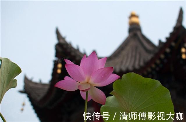 韩子#《韩非子》10句千古名言，寓意深刻，值得你一读再读！