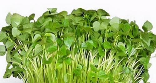  肌肤|爱美的女性，推荐吃3种食物，美白肌肤，缓解痛经，清理子宫垃圾