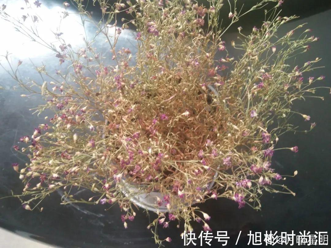 10种花,一天不见水就萎缩,狂补水就对了!