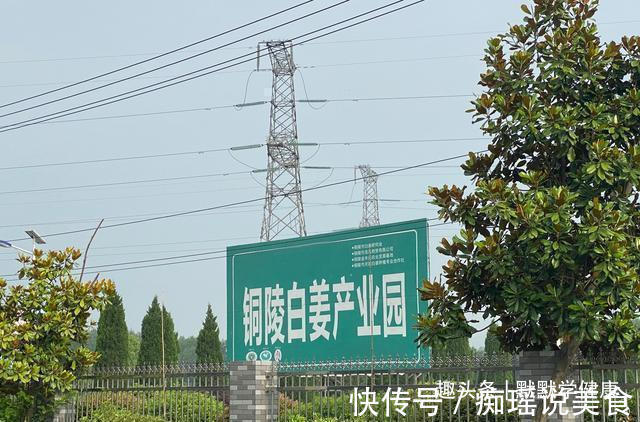 三伏贴|冬病夏治抓住一年中养阳的40天,阳虚的人记得提前安排好3件事