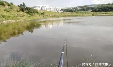 野钓选择钓位的四个思路