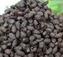 衰老|这8种食物是“衰老加速器”，每吃一口都在催你老