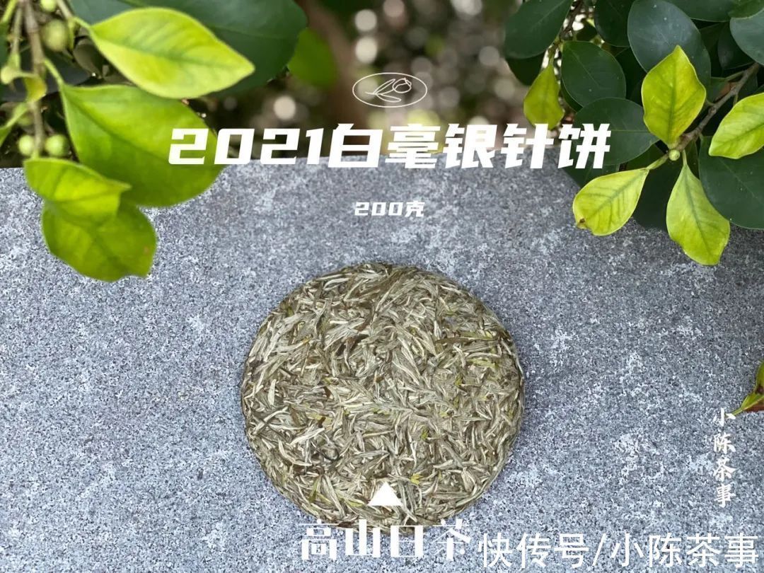 叶底香|毫香、花香、竹叶香,这些香气怎么没在白毫银针开箱的时候闻到?