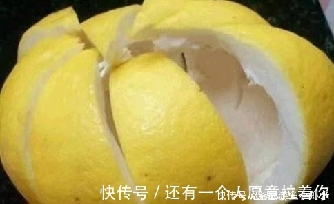 种激素水 比黄豆水 淘米水强10倍 花卉喝1点 花苞猛爆 粉紫色