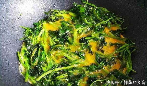 金雞納霜|這菜是身邊“小鈣王”，夏季吃它消暑解熱開胃，一定要早點知道！