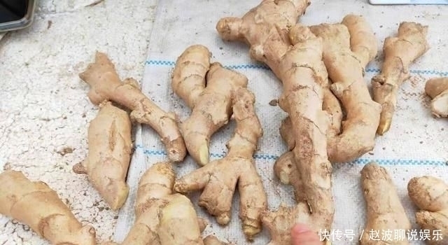 生姜|原来保存生姜这么简单,放半年不干瘪不发芽,再也不怕生姜买多了