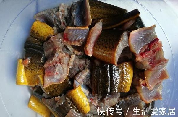 黄鳝|放暑假,推荐6道孩子都爱吃的家常菜,简单好做,给足营养身体棒