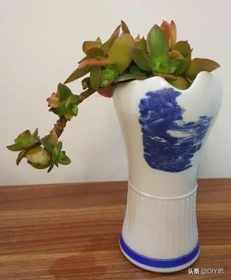 花盆不用买喝剩下的酒瓶,简单一改造,比买的花盆还漂亮