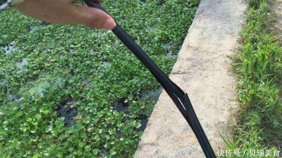 用力过猛|钓鱼时,如何操作才既能上鱼又不伤鱼竿?只要把这3点练熟就行了