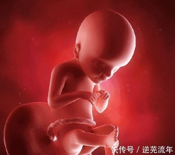 妈妈|胎儿在妈妈的肚子里会感觉到孤独吗事实让人觉得有趣,了解一下!