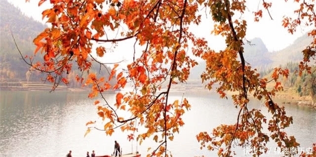 黄叶|苏轼的黄叶村和曹雪芹的黄叶村,有什么内在的联系?