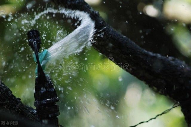 重症|间断发热三个月、腰腹痛，男子罕见病菌感染致危重症，动脉瘤几欲破裂紧急手术闯过一关