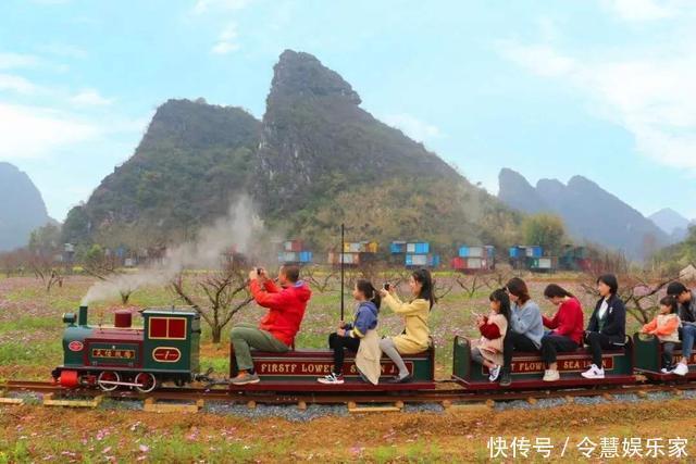 家庭|你陪孩子坐小火车的样子，暴露家庭教养方式，网友：不敢再去玩了