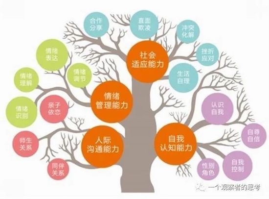 蔡风虎：不要错过孩子假期期间的能力培养|鸢都校长论坛| 假期