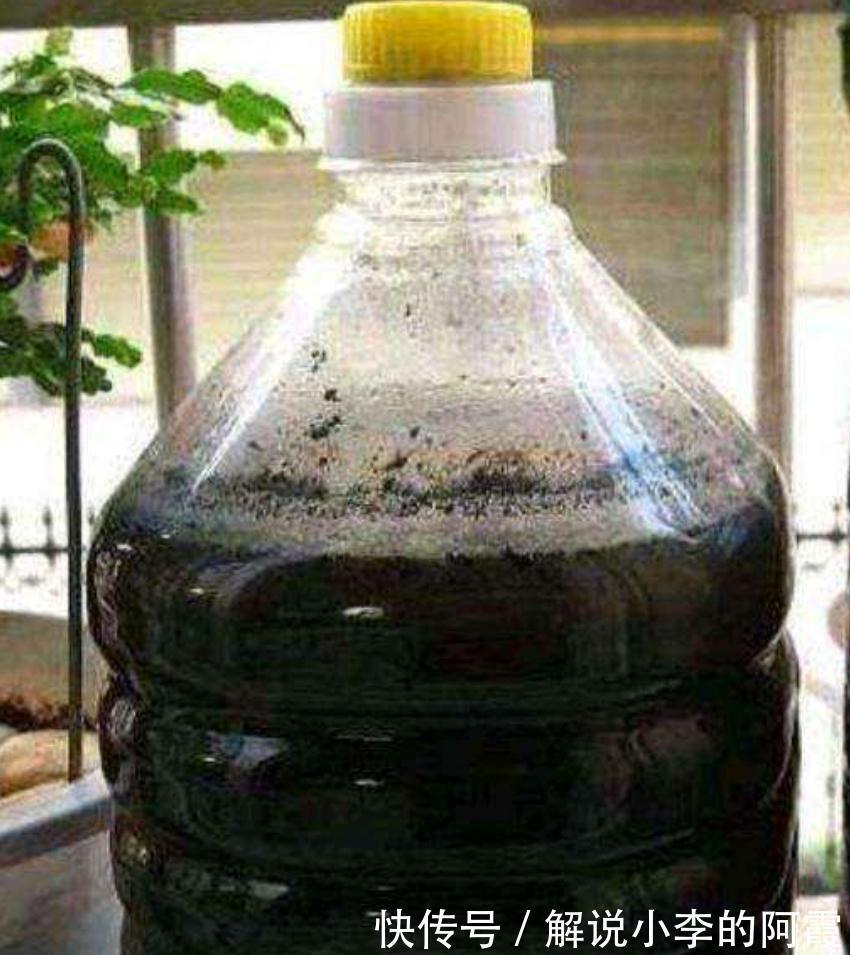 养栀子花缺了这三样，黄叶掉花苞，及时改善，叶绿根壮花满枝头