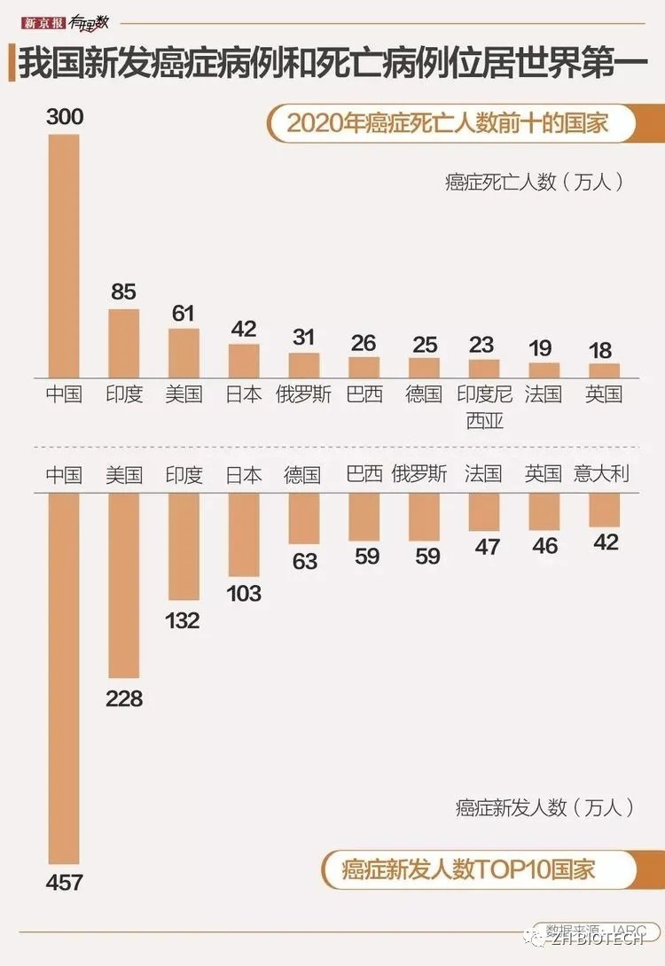 日本旅游体检:体验不一样的文化与健康之旅