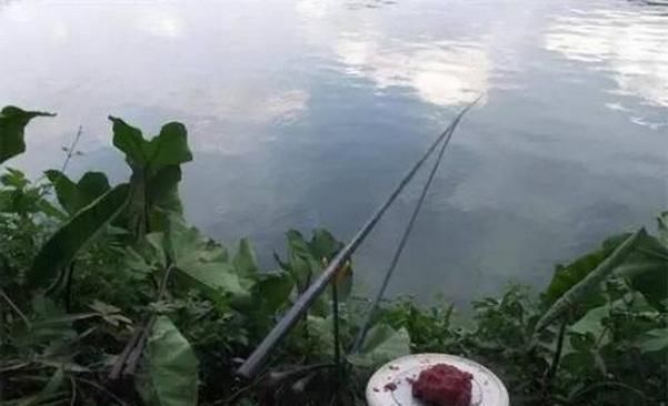 垂钓者|钓鱼为什么会上瘾，看看这些垂钓者最兴奋的时刻就知道了