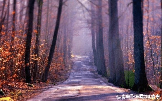 俗话说“百艺百穷,无艺成龙”何意道理很深切,却几乎没人明白