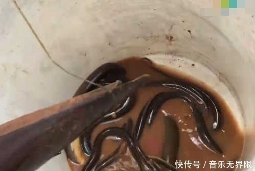 竹竿|男子将竹竿插入水中抓鱼,遭同行村民嘲笑,结果收获不少好东西