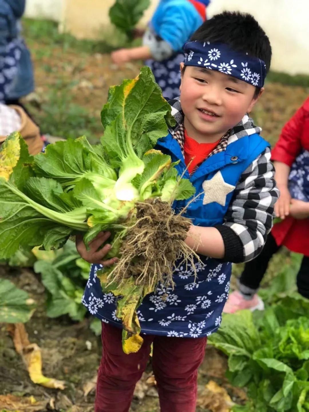 【眉州校园】象耳中心幼儿园：自然养成习惯，乐享童年时光