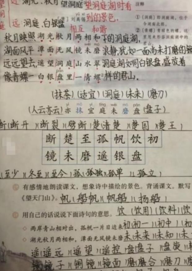 小学生“学霸笔记”火了，网课笔记堪比高中生，网友：低估小学生