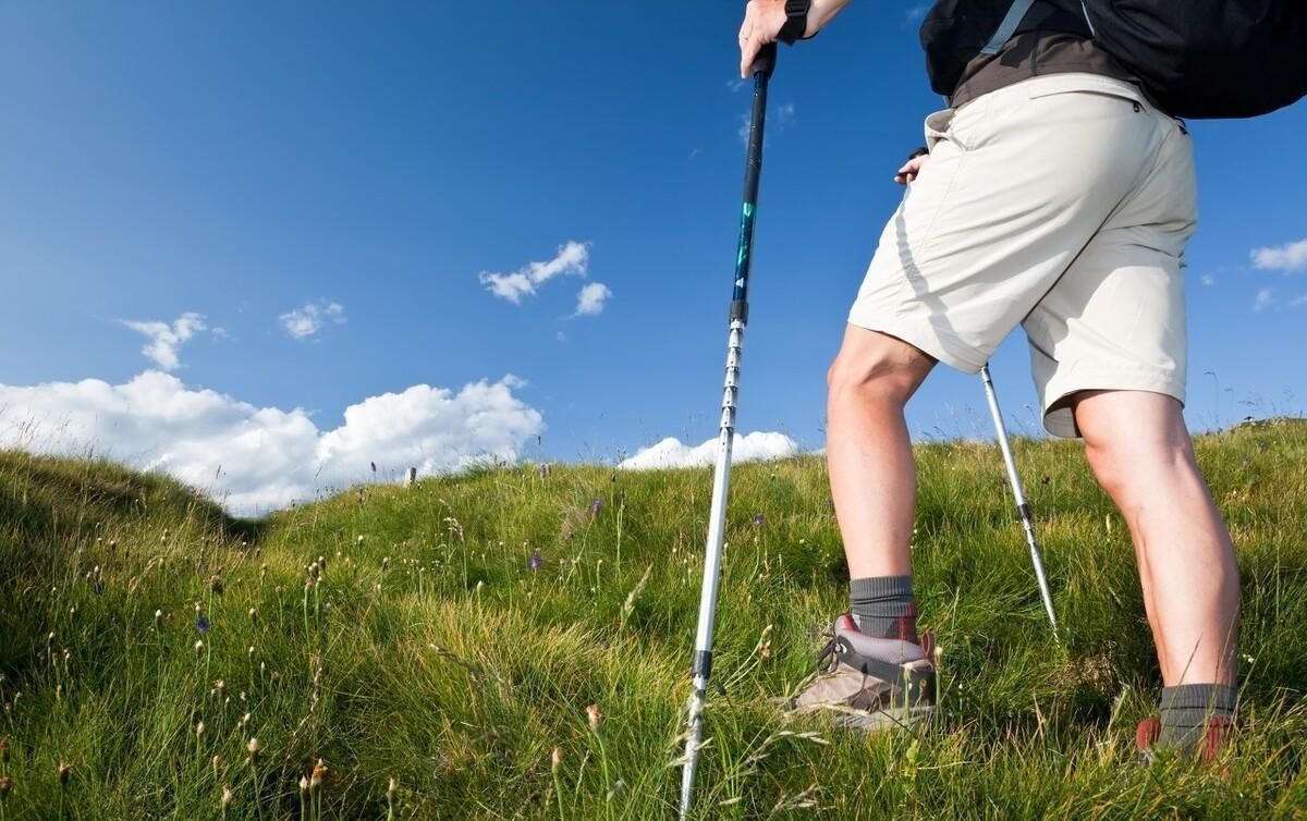 走路锻炼|每天坚持步行一段时间，会收获什么好处？如何正确的走路锻炼？
