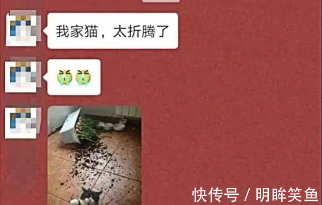 |搞笑GIF动图:这碗面实在是太辣了,把这位大哥辣得半天没缓过来