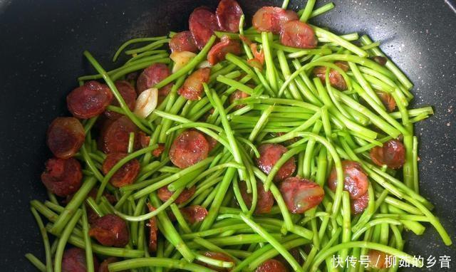 滋养|这道菜一年前是30元一公斤,现在是2元,你应该多吃春天和滋养