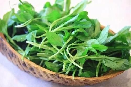 亳州人初春的快乐，你根本想不到！