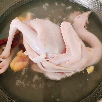 凉水|手撕盐焗鸡