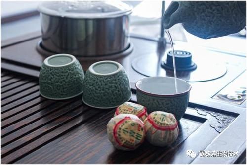 冲泡|你常喝的“小青柑”竟是“毒汤”?