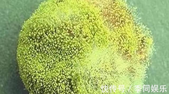 医生|一家三口同时患癌,医生只因一件“东西”用了十年不扔