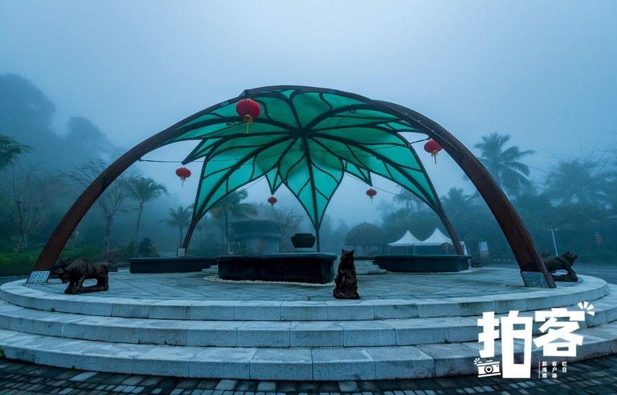 保亭|拍客丨游人走进海南五指山区热带雨林，享受节日的欢乐