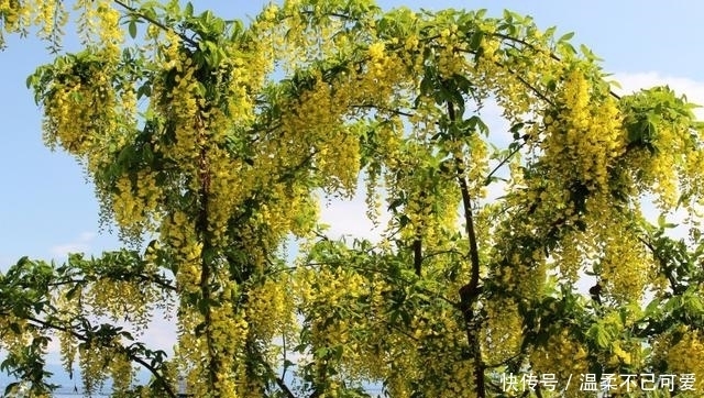 暧昧高情商聊天,暧昧高情商聊天:探索情感世界的桥梁